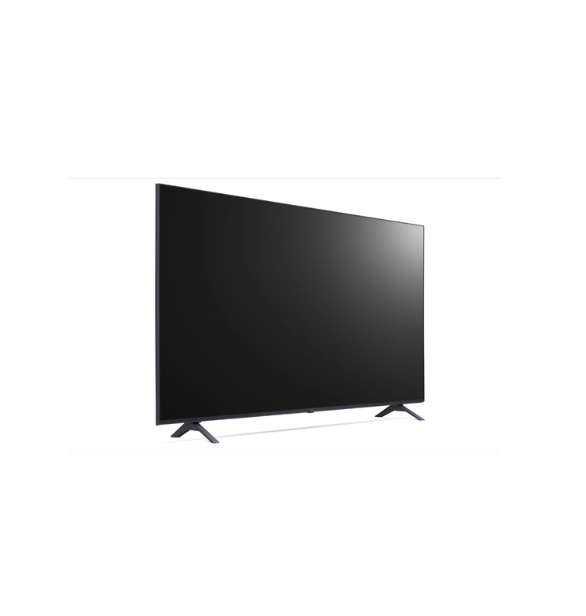 55" Television